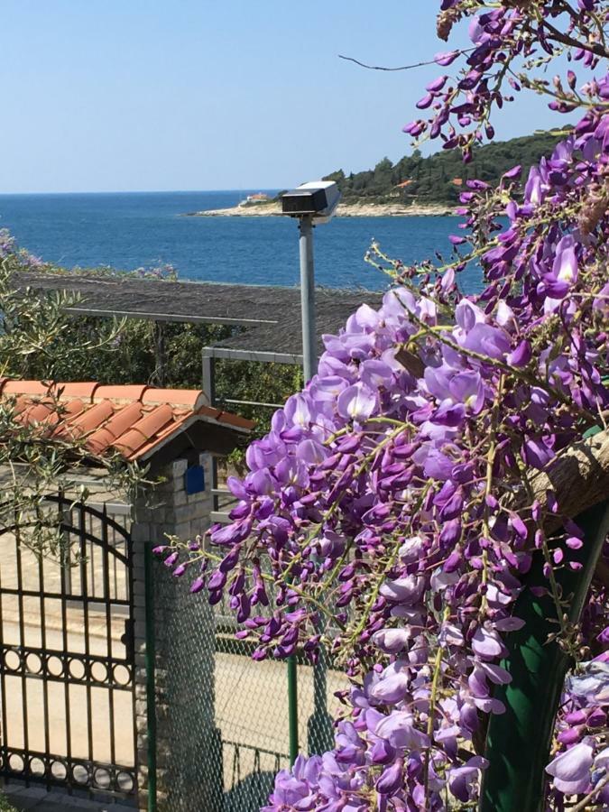 Goga Apartments 풀라 외부 사진